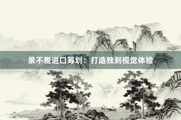 景不雅进口筹划：打造独到视觉体验